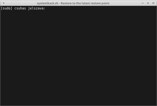 systemback-term.png